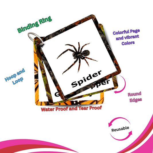Insect Card Pack: Educational Fun for Ages 2 to 4