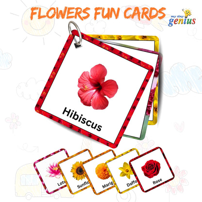 Flowers Fun Card Pack: Educational Fun for Ages 2 to 4