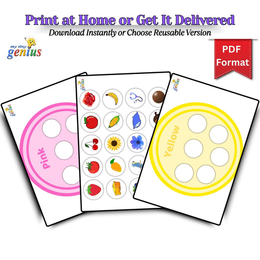 Color Sorting Activity Sheets – Printable PDF Pack for Ages 2 to 5 | 9 Fun & Educational Worksheets