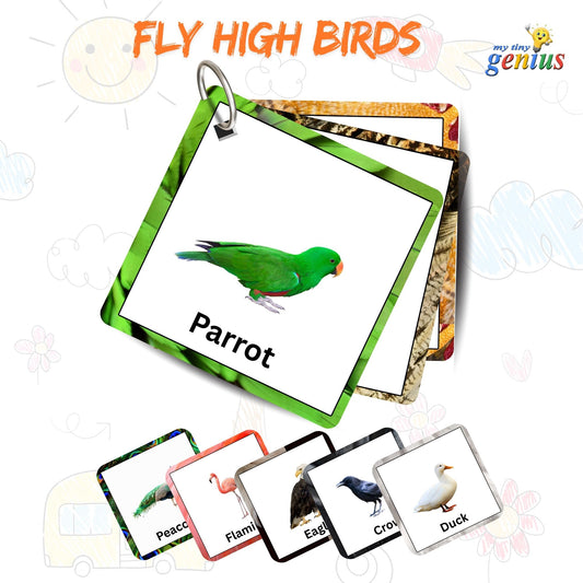 Fly High Bird Card Pack: Educational Fun for Ages 2 to 4