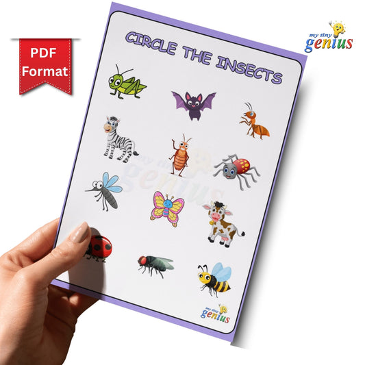 Circle the Picture Activity Pack – Printable PDF Worksheets for Ages 3 to 6 | 8 Fun & Focused Topics