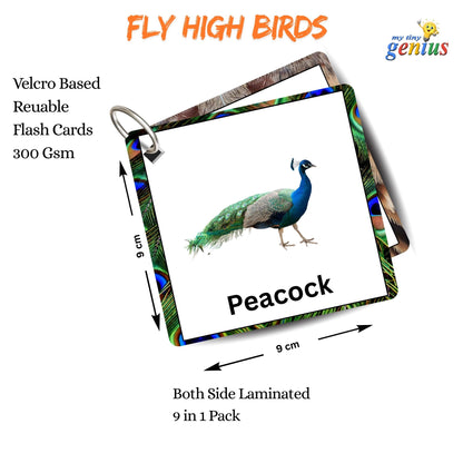 Fly High Bird Card Pack: Educational Fun for Ages 2 to 4