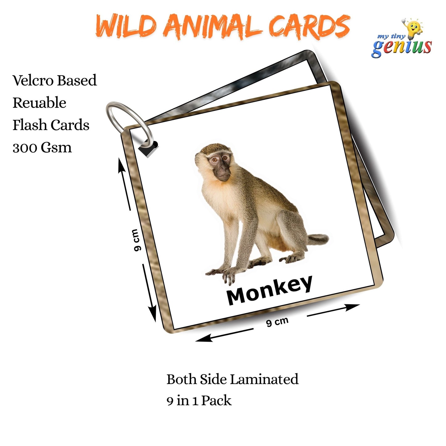Wild Animals Card Pack