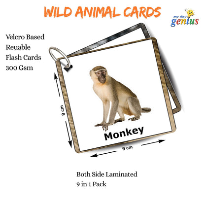 Wild Animals Card Pack