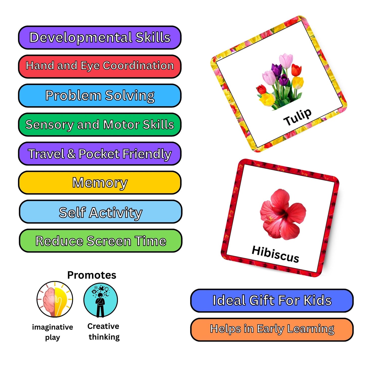 Flowers Fun Card Pack: Educational Fun for Ages 2 to 4