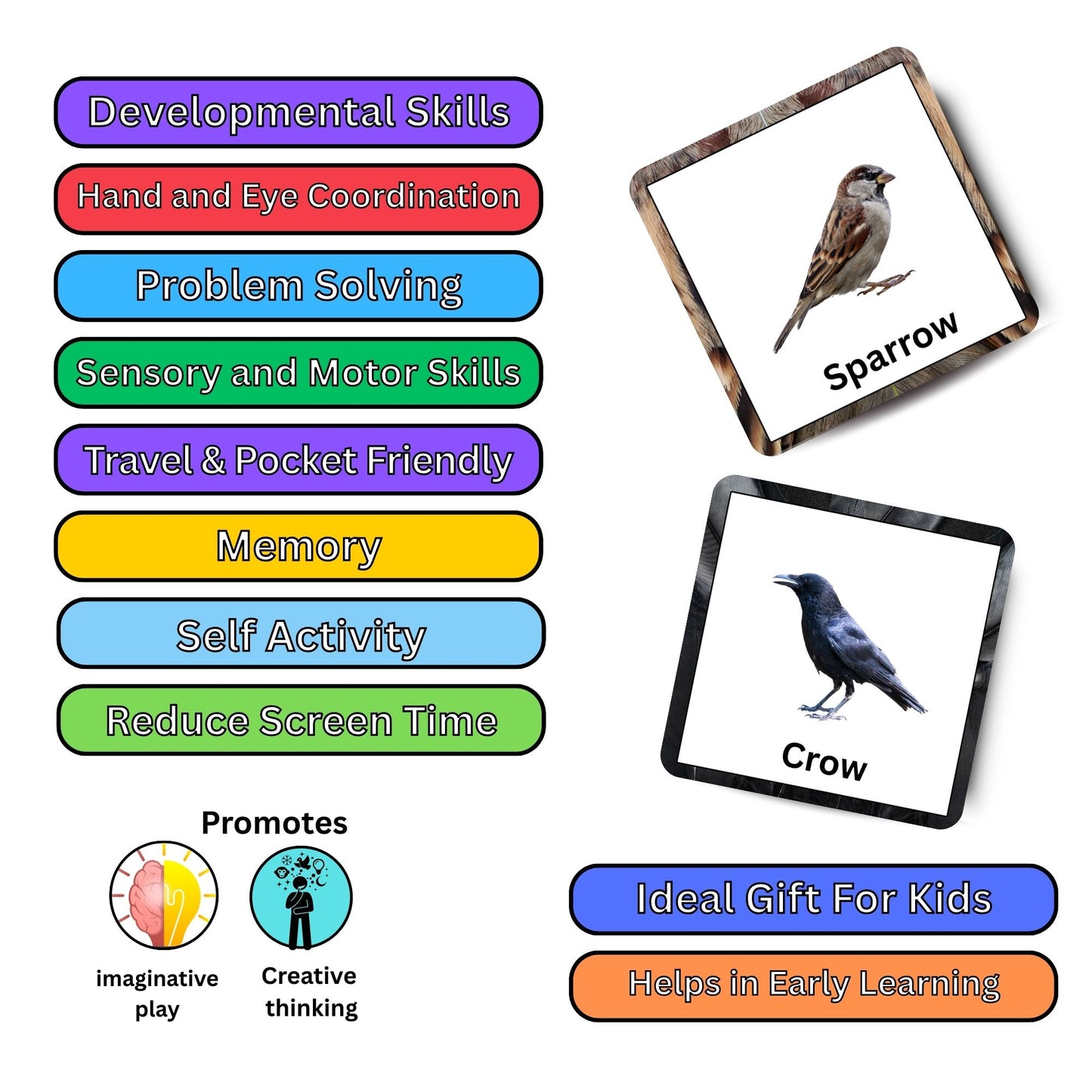 Fly High Bird Card Pack: Educational Fun for Ages 2 to 4