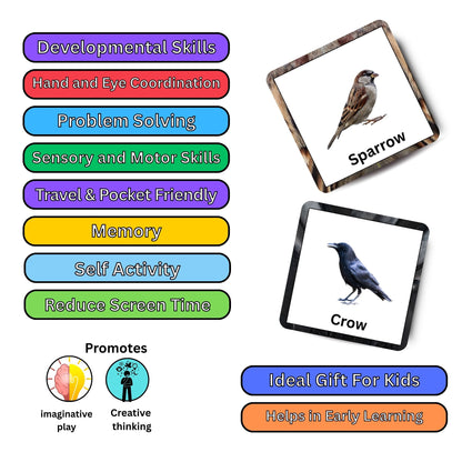 Fly High Bird Card Pack: Educational Fun for Ages 2 to 4