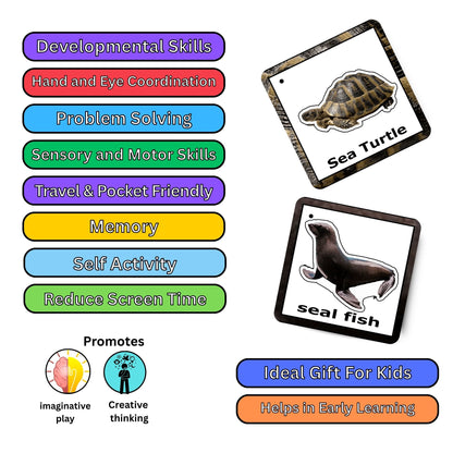 Aqua Animals Adventure Pack: Educational Fun for Ages 2 to 4