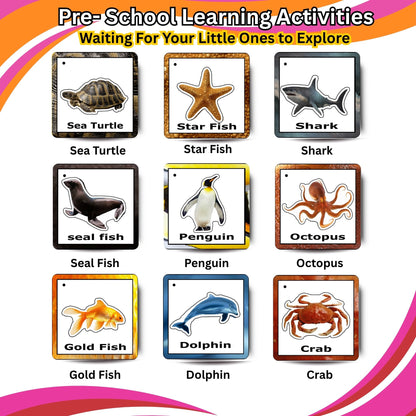 Aqua Animals Adventure Pack: Educational Fun for Ages 2 to 4