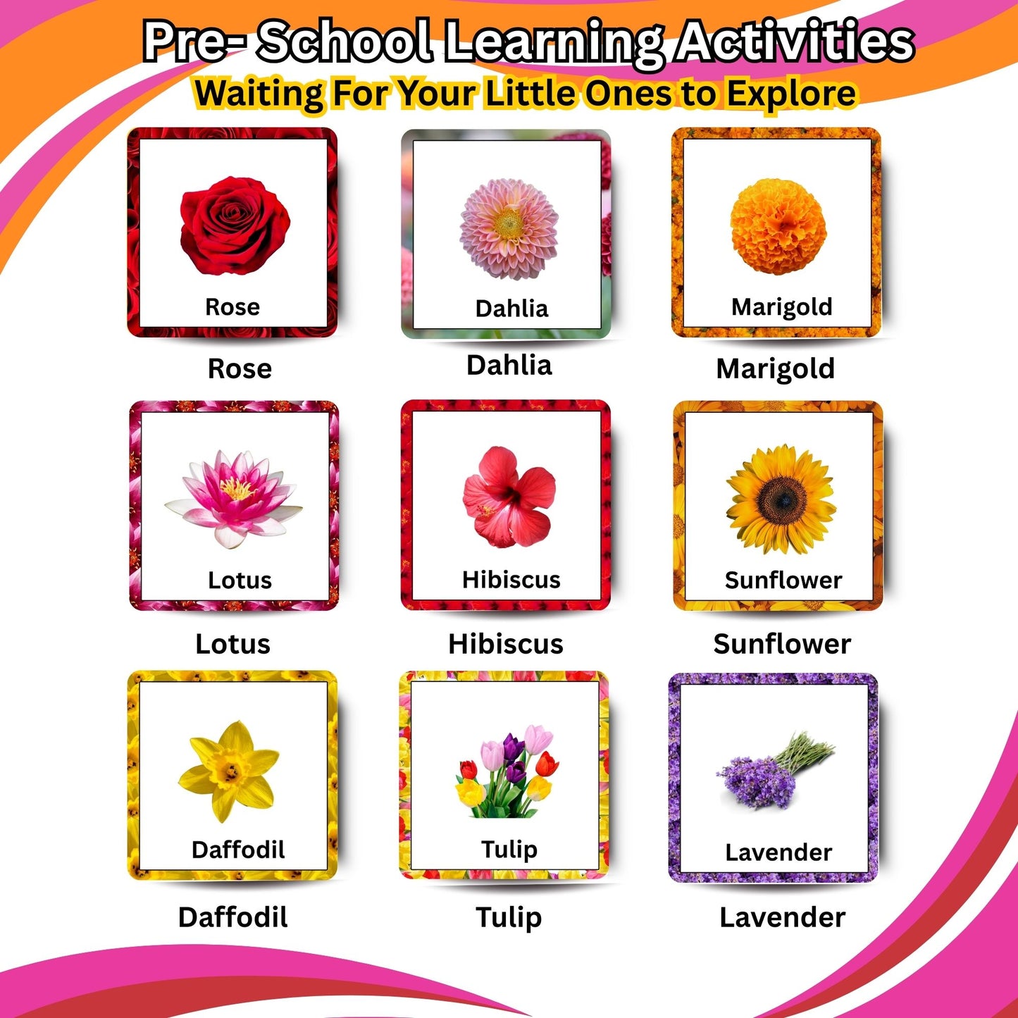 Flowers Fun Card Pack: Educational Fun for Ages 2 to 4