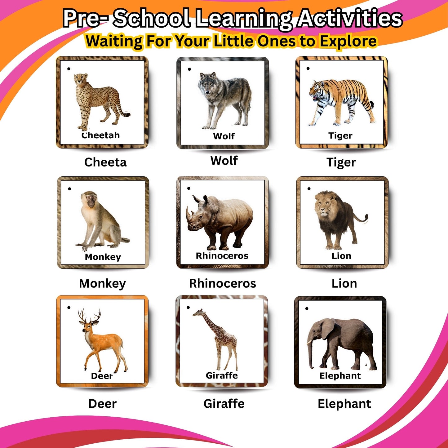 Wild Animals Card Pack