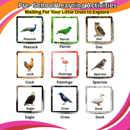 Fly High Bird Card Pack: Educational Fun for Ages 2 to 4