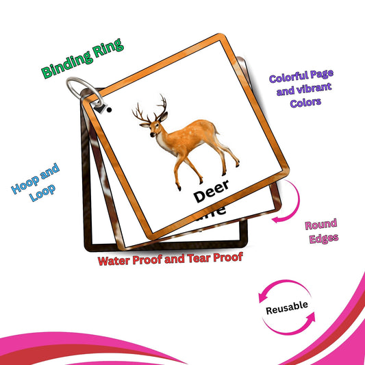 Wild Animals Card Pack