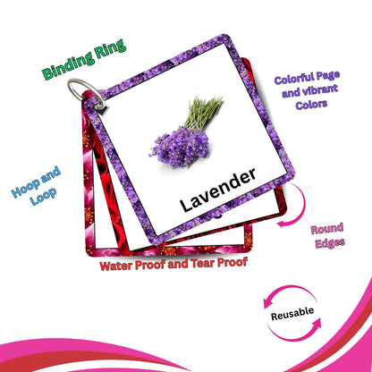 Flowers Fun Card Pack: Educational Fun for Ages 2 to 4