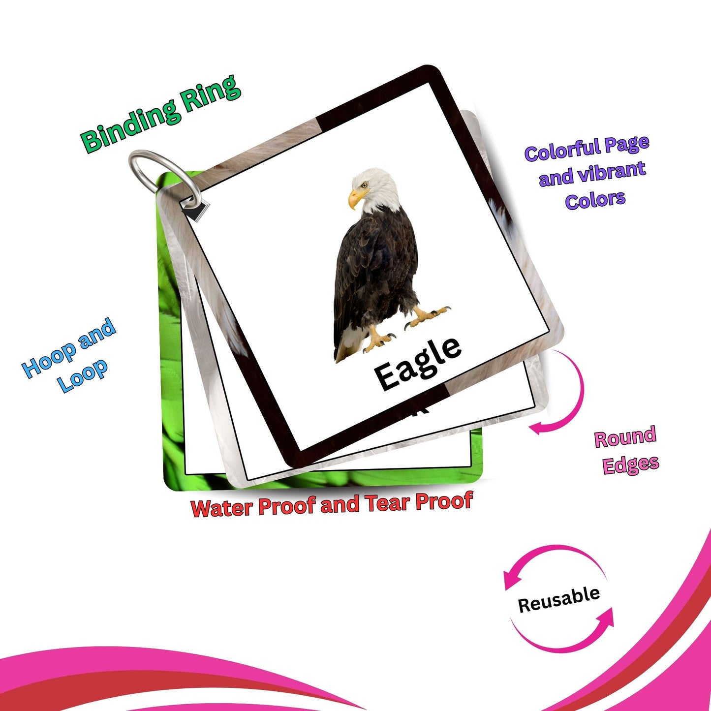 Fly High Bird Card Pack: Educational Fun for Ages 2 to 4