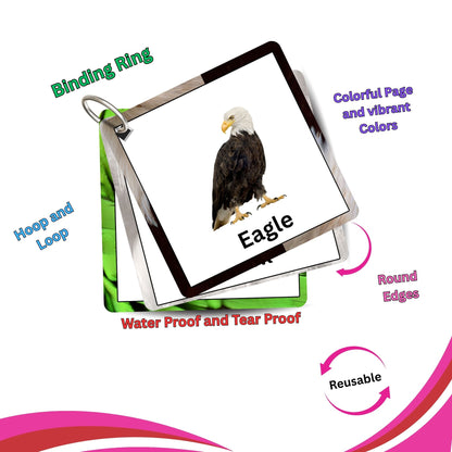 Fly High Bird Card Pack: Educational Fun for Ages 2 to 4