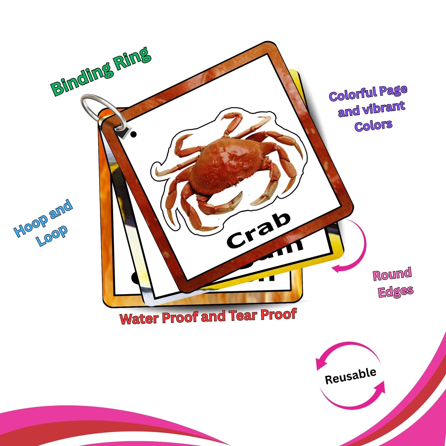 Aqua Animals Adventure Pack: Educational Fun for Ages 2 to 4