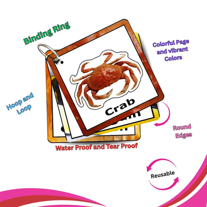 Aqua Animals Adventure Pack: Educational Fun for Ages 2 to 4