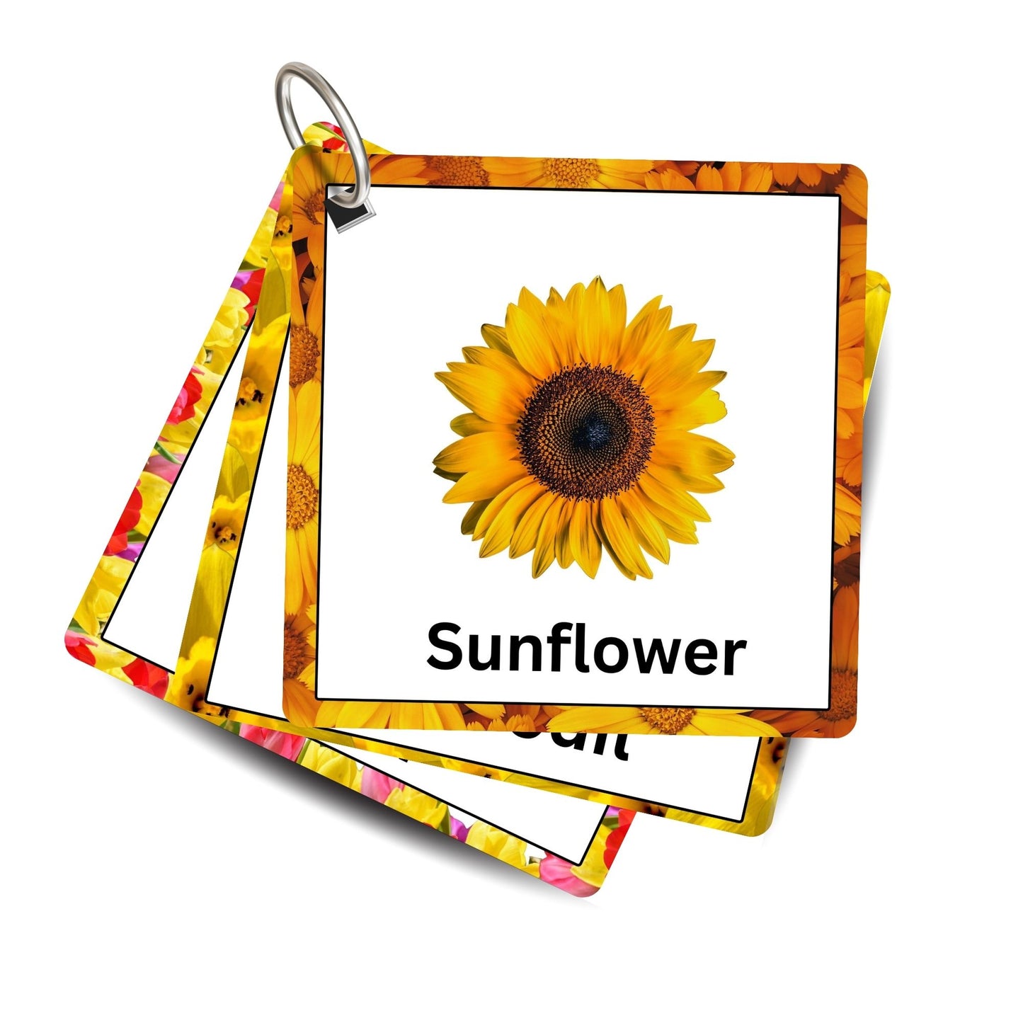 Flowers Fun Card Pack: Educational Fun for Ages 2 to 4