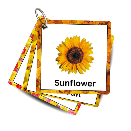 Flowers Fun Card Pack: Educational Fun for Ages 2 to 4