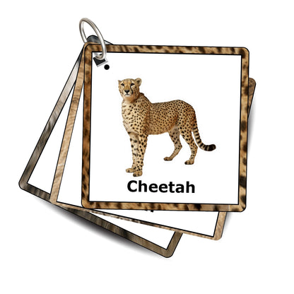 Wild Animals Card Pack