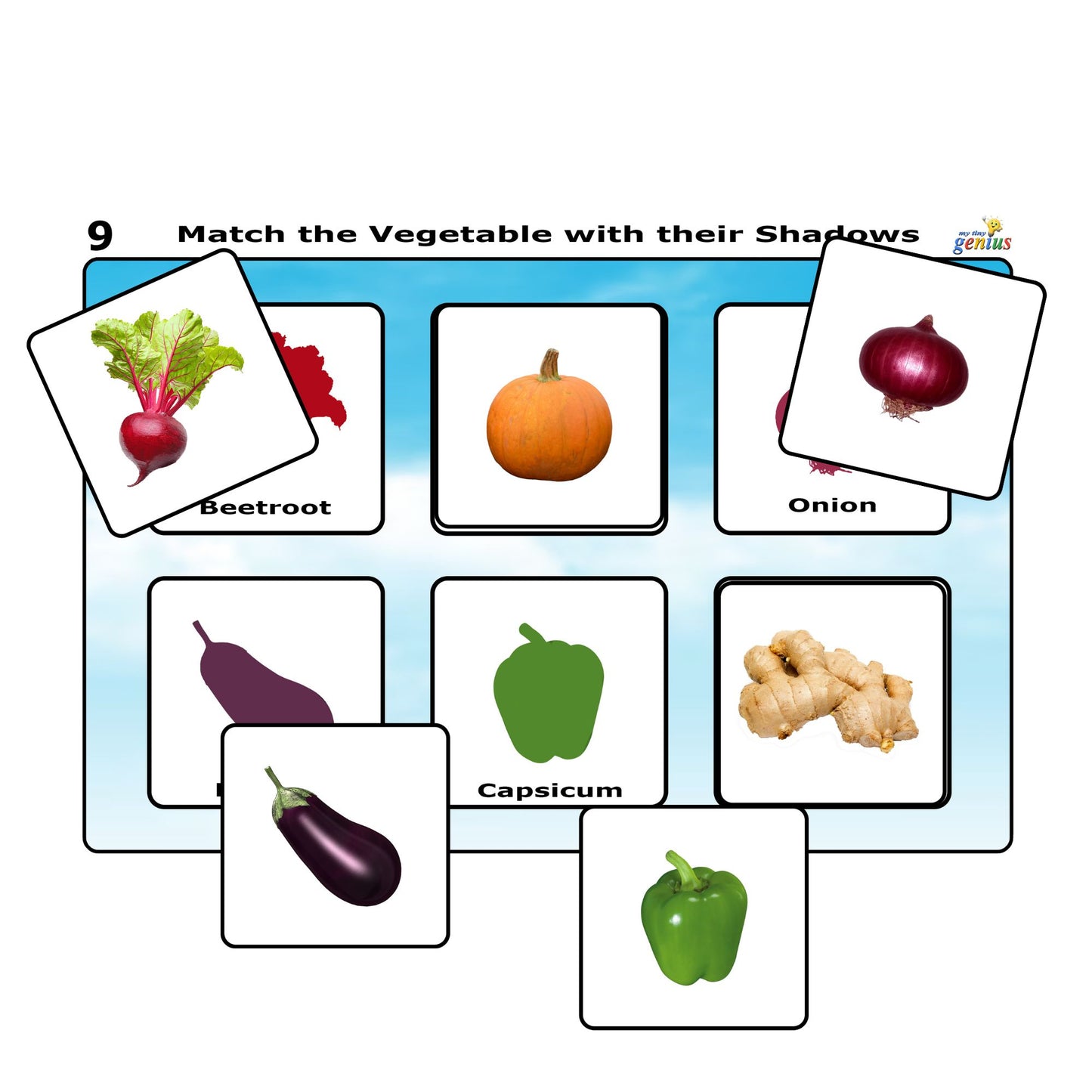 Explore the Natural World Velcro Activity Binder