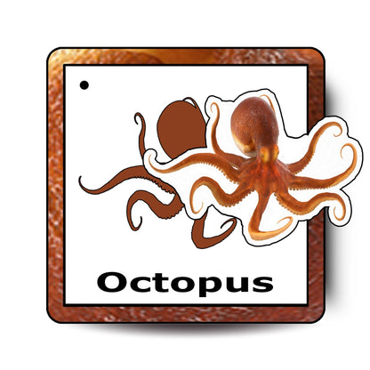 Aqua Animals Adventure Pack: Educational Fun for Ages 2 to 4