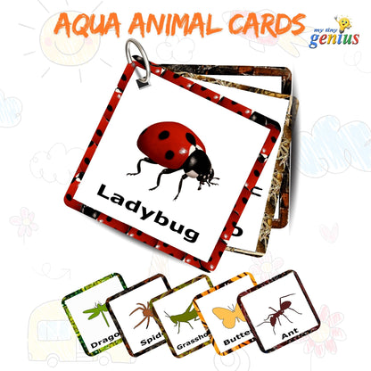 Insect Card Pack: Educational Fun for Ages 2 to 4