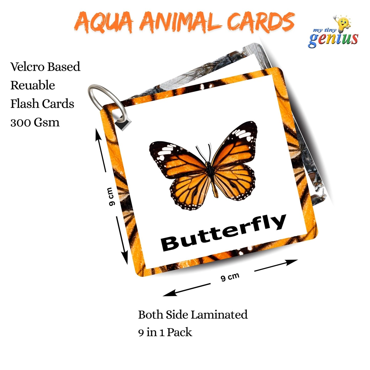 Insect Card Pack: Educational Fun for Ages 2 to 4