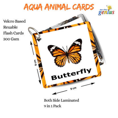 Insect Card Pack: Educational Fun for Ages 2 to 4