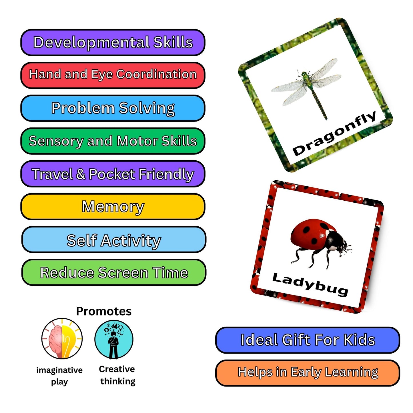 Insect Card Pack: Educational Fun for Ages 2 to 4