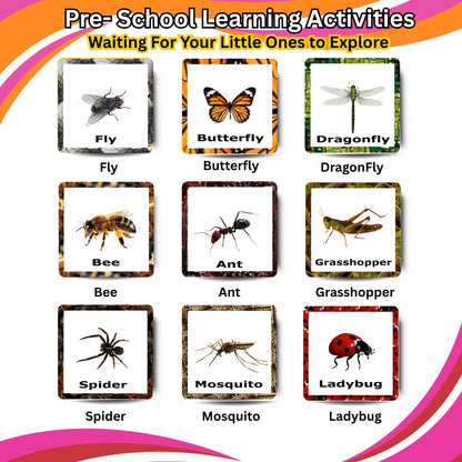 Insect Card Pack: Educational Fun for Ages 2 to 4