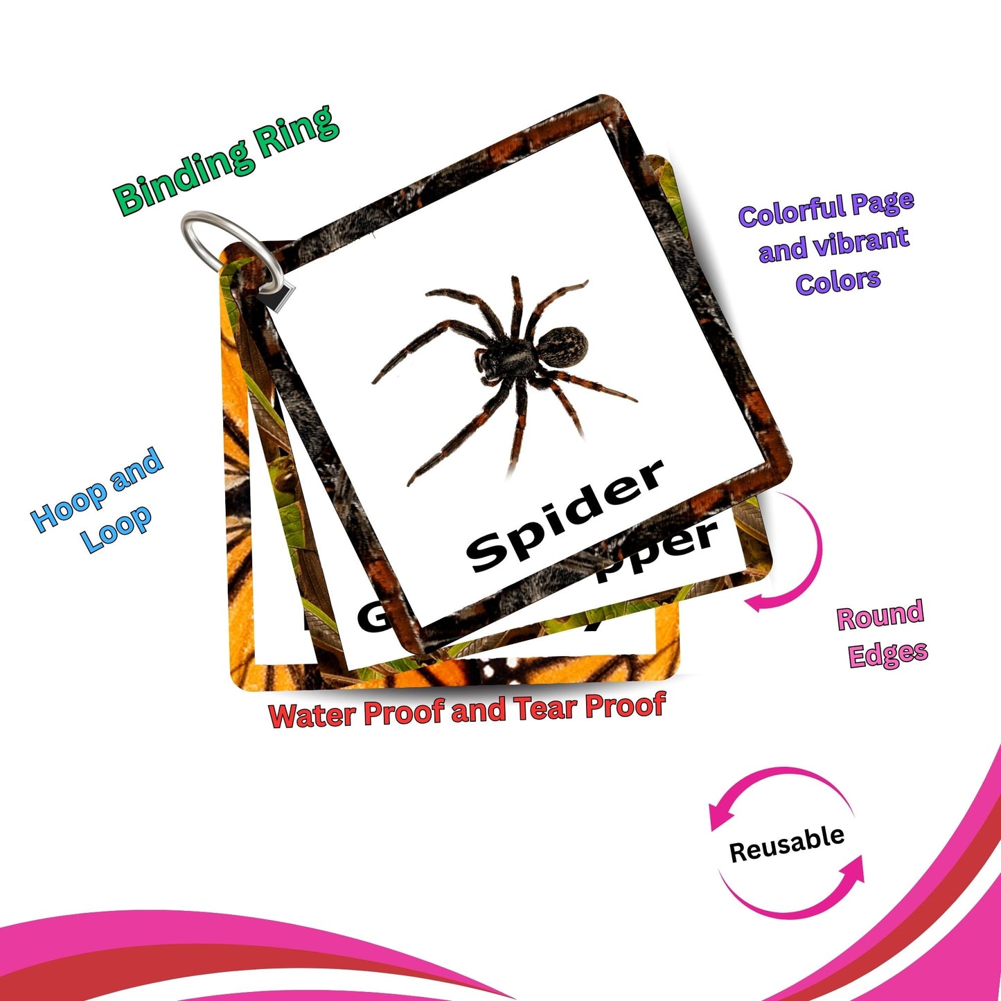 Insect Card Pack: Educational Fun for Ages 2 to 4